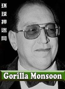 格瑞资料,揭秘科技巨头背后的创新力量